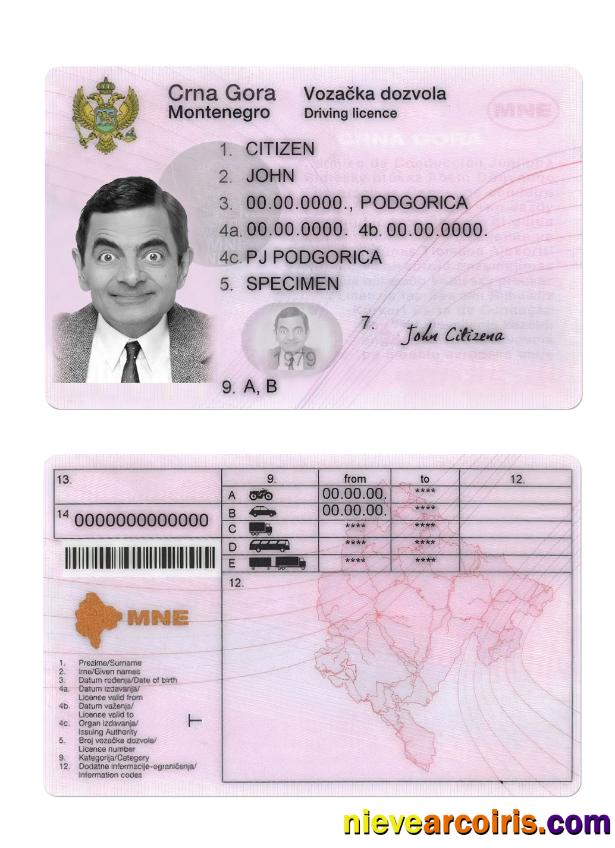 Montenegro driving license
